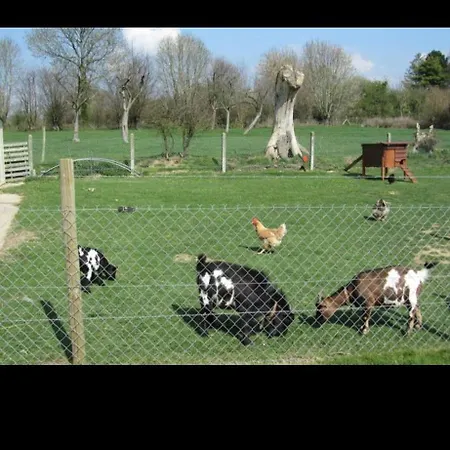 Le Belchard La Chapelle-Bayvel